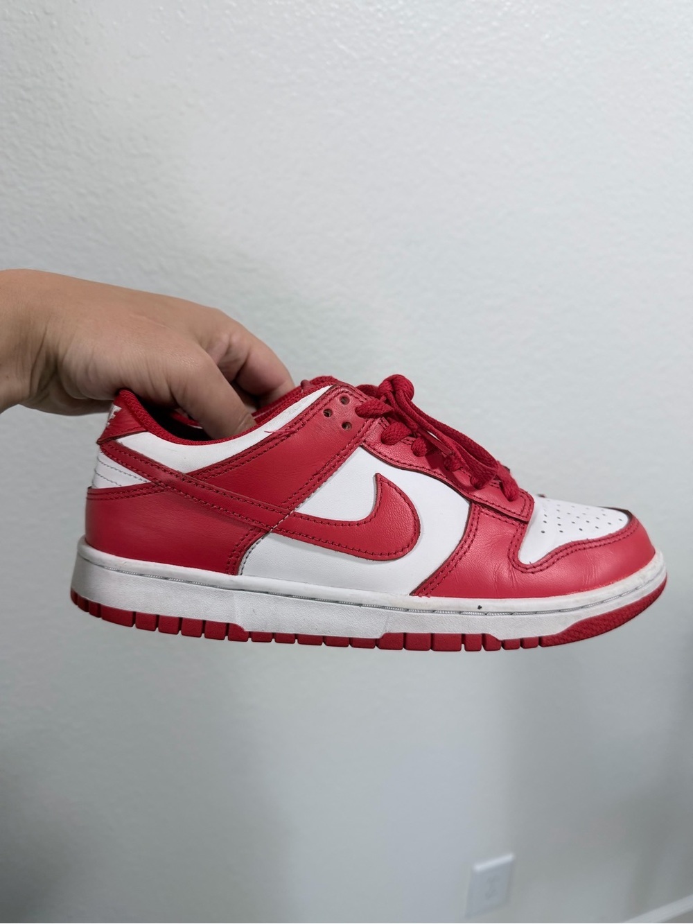Nike Red and White Low-Top Skate Sneaker